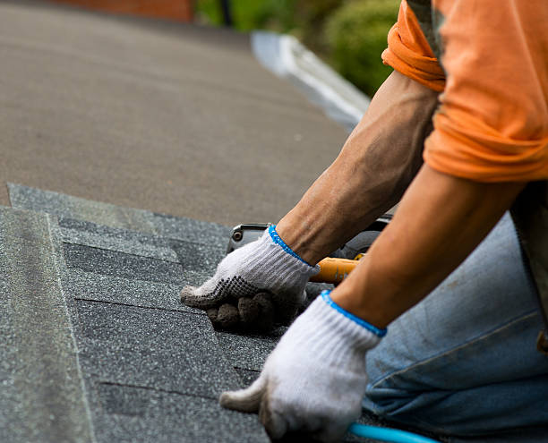 Best Roof Gutter Cleaning  in Devola, OH