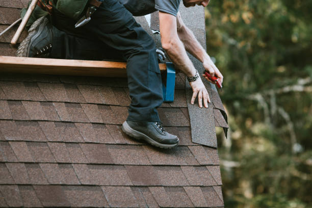 Best Roof Waterproofing Services  in Devola, OH